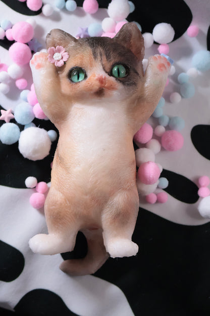 WhiskerWonder Custom Squishkins