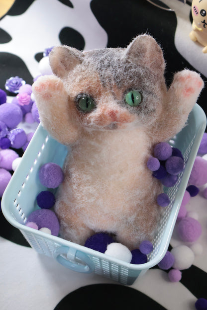 WhiskerWonder Custom Squishkins